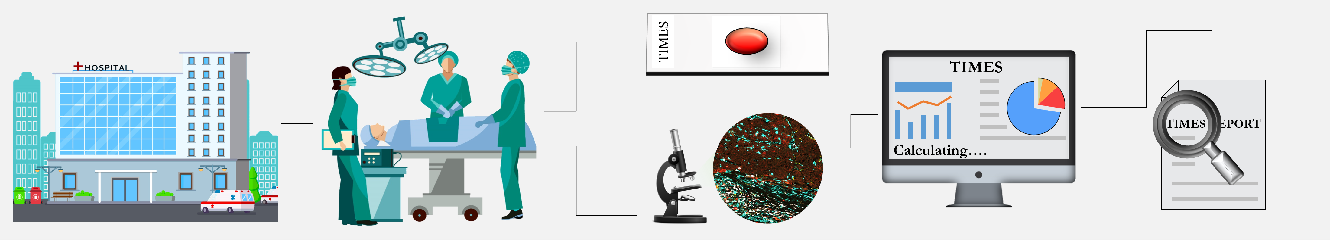 TIMES Graphical Abstract